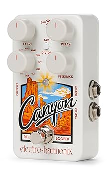 electro-harmonix Grand Canyon ディレイ/ルーパー Grand Canyon | Delay & Looper - Electro-Harmonix